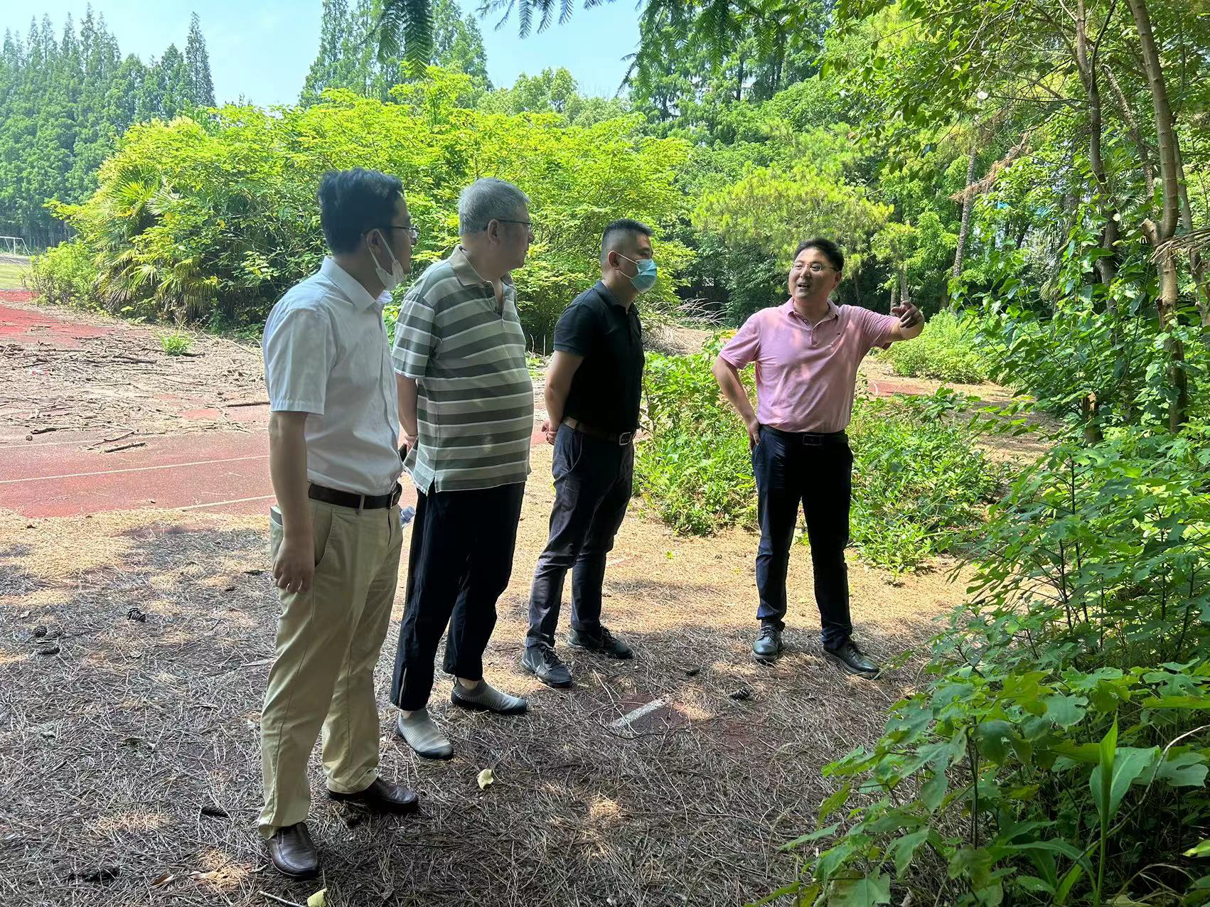 田林街道一行到漕宝路校区现场协调绿化修剪工作