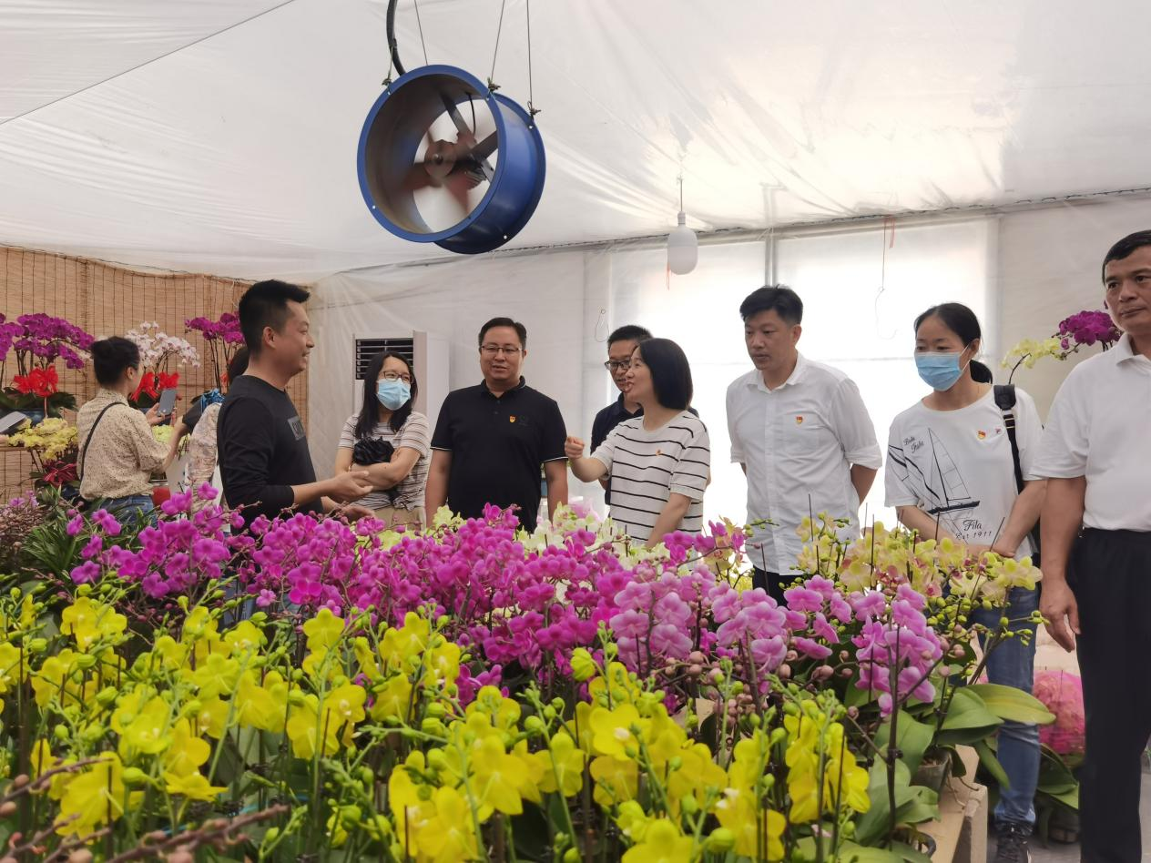 实践走访金汇花卉苗木产业园基地